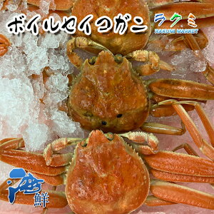 ボイルセイコガニ メス 北海道産 訳あり 5尾（1尾 約100〜130g） せいこがに 贈り物 繊細な身 蟹味噌 お味噌汁 鍋