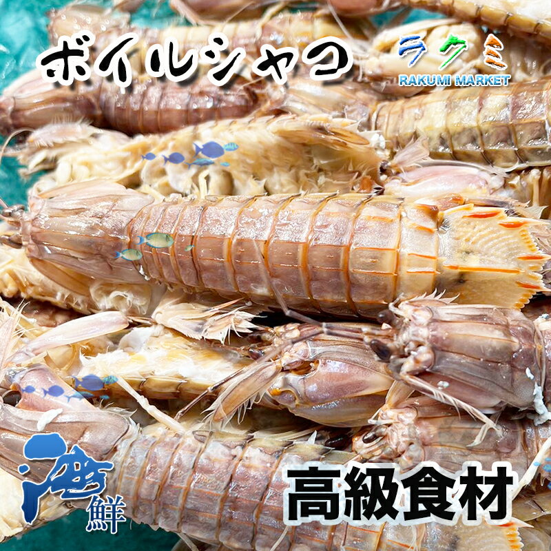 ボイルシャコ 500g 約13〜18匹 しゃこ 蝦蛄エビ 贈り物 北海道