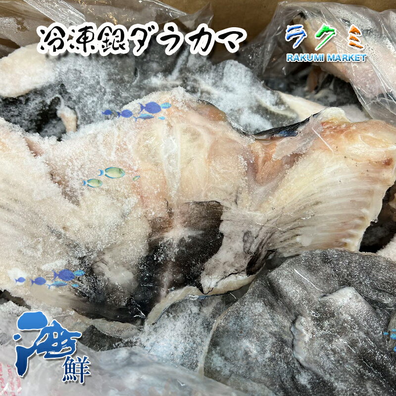 高級魚 銀ダラ カマ 500g(1個約100g) 稀少 照り焼き 塩焼 かま 絶品