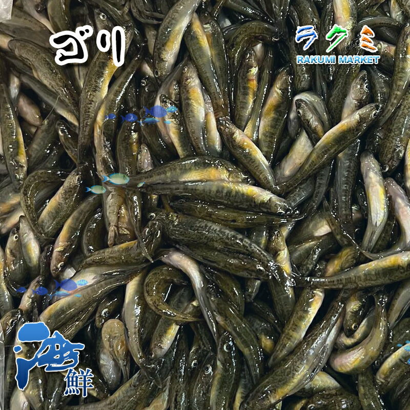 旬の味 生 ゴリ 約500g （1尾約3-8cm前後）ごり国産 焼き物 みそ汁 ごり酒(カジカ酒) 唐揚げ