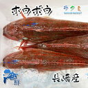 方々魚 ホウボウ 5kg 1尾約200〜300g 長崎産 高級食材 刺身 焼き切り 唐揚げ 肝なども美味