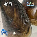 商品詳細 名称 平貝 内容量 1枚 (1枚約20cm) 保存方法 冷蔵 産地名 岡山県、香川県など 商品詳細 平貝やタイラギと呼ばれる貝です。 あまり知られていませんが、アワビ等と並ぶ、高級貝のひとつです。 高級料亭や高級寿司屋で良く扱われる高級貝です。 生は柔らかくてプリッとした食感。クセになる甘みがあり独特な旨みがあります。 火を通すと歯ごたえと旨みが増すのが特徴な貝です。 お刺身・天ぷら・煮つけ・バター焼き・酒蒸しなど、大変美味しく頂けます。 表面を炙ると旨み、甘みが増します！ 端物は貝殻のまま、焼き網に載せて直火焼きして、味噌ダレを入れて焦がすと美味しく頂けます。 高たんぱく・低脂肪の典型的な海の食材で、たんぱく質の多さが貝類の中でもトップと言われております。 ぜひこの機会にお試し頂きたいオススメ商品です。 配送方法 ヤマト運輸のクール便※こちらの商品は冷蔵便での発送となります。 冷凍商品と同梱出来ませんので、ご了承お願い致します。 賞味期限 冷蔵保存で2日以内にお召し上がりください。 備　考 ※出荷時点で、必ず生きたものをお送り致しますが、まれに配送過程で冷蔵による凍死などで死んでしまう場合がございますので予めご了承下さい。鮮度に問題はございません。 ※写真はイメージです。計量致しますので、実際の商品の見た目とは多少異なる場合が御座います。 ※日時指定の場合、天候（時化などによる入荷の遅れ）・配送上の都合により指定された通りにお届けできない場合がありますので、基本は日付指定はお受けできません。ご理解下さい。 上記をご了承頂ける方のみ日付指定をお受け致します。その場合、指定は10日以内でお願い致します。 ※日付指定優先の場合、入荷状況により予告なくメーカーが変更になる場合が御座います。 その場合発送時、メールでご連絡させて頂きます。