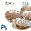 活 殻付 ホタテ 3枚 国産 ほたて 帆立 プリプリ バーベキュー お刺身 天ぷら 煮物 焼き物 バター焼き 酒蒸し