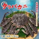 生タラバガニ1尾 約4~5kg ロシア 北海道 蒸す 煮る(塩ゆで、鍋) 焼く 汁(みそ汁)