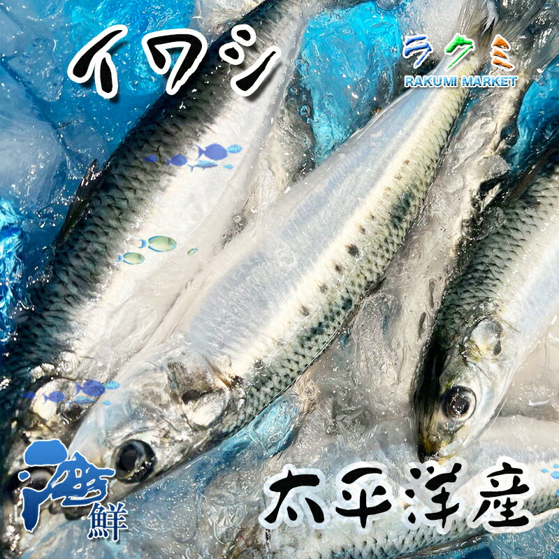 いわし 3kg（1kg 約8-12尾） 太平洋産 鰯 イワシ 刺身 焼き切り 酢じめ 塩焼き 唐揚げ