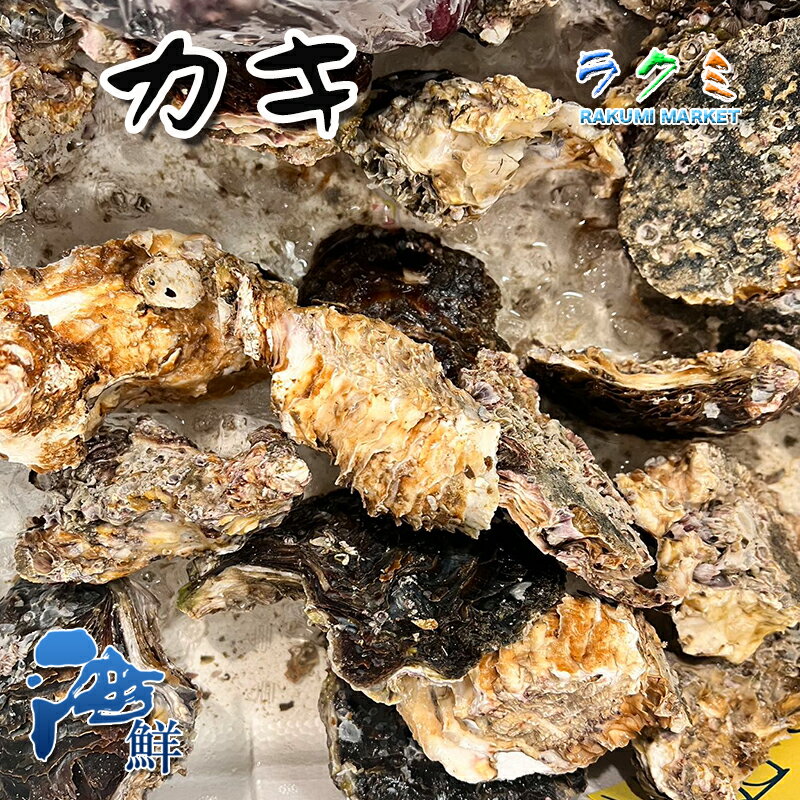 商品詳細 名称 牡蠣 内容量 10粒 保存方法 冷蔵 産地名 広島、岩手など 商品詳細 かきには様々な栄養素が多く含まれており「海のミルク」と言われています。 生でお召し上がり頂くとトロける様な食感とまろやかな味わいが味わえます。 ポン酢を少々かけてのお召し上がりがオススメです。 そのままでもお召し上がり頂きます。 また、フライ・カキ鍋・網焼きなどレシピ色々！！ ぜひこの機会にお試し頂きたいオススメ商品です。 配送方法 ヤマト運輸のクール便※こちらの商品は冷蔵便での発送となります。 冷凍商品と同梱出来ませんので、ご了承お願い致します。 賞味期限 冷蔵保存で2日以内にお召し上がりください。 備　考 ※写真はイメージです。計量致しますので、実際の商品の見た目とは多少異なる場合が御座います。 ※日時指定の場合、天候（時化などによる入荷の遅れ）・配送上の都合により指定された通りにお届けできない場合がありますので、基本は日付指定はお受けできません。ご理解下さい。 上記をご了承頂ける方のみ日付指定をお受け致します。その場合、指定は10日以内でお願い致します。 ※日付指定優先の場合、入荷状況により予告なくメーカーが変更になる場合が御座います。 その場合発送時、メールでご連絡させて頂きます。