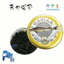 高級つまみ キャビア シベリアンキャビア 1缶20g caviar 高級 パーティー グルメ 魚卵 食品 贅沢 家飲み 記念日 お祝い 贈り物 お歳暮