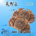 冷凍 毛ガニ 1箱 13尾 4kg（1尾 約300g）北海道＆オホーッツ産 カニ 蟹 かに 贈り物