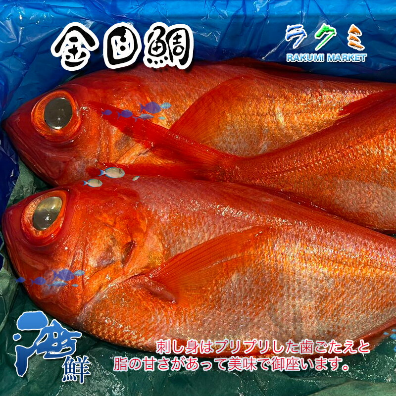 金目鯛 1尾 約1.2~1.5kg キンメダイ きんめだい 栄養 刺身 煮るしゃぶしゃぶ 塩焼き 千葉県