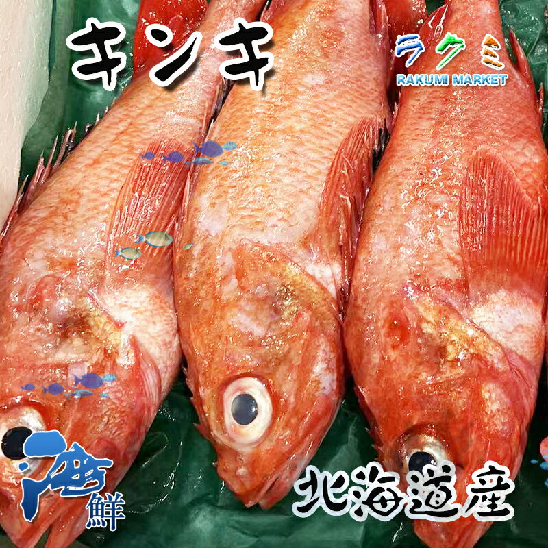 新鮮 キンキ 3kg（1kg 約2〜4尾）北海道産 きんき きちぎ 高級魚 塩焼き 唐揚げ 刺身