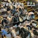 商品画像2