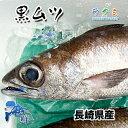 長崎県産 黒ムツ 約3kg（1kg 約2〜3尾）クロムツ 黒むつ 塩焼き 刺身 酒蒸し 鍋