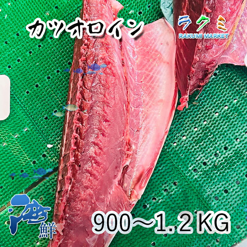 生カツオロイン 血合い抜き 約900g-1.2kg かつお 鰹