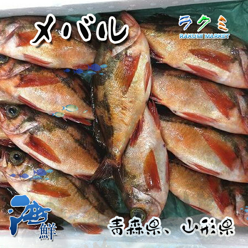 メバル 1kg 約4〜5尾 うすめばる 煮る 塩焼き ムニエル 刺身 潮汁 みそ汁 唐揚げ