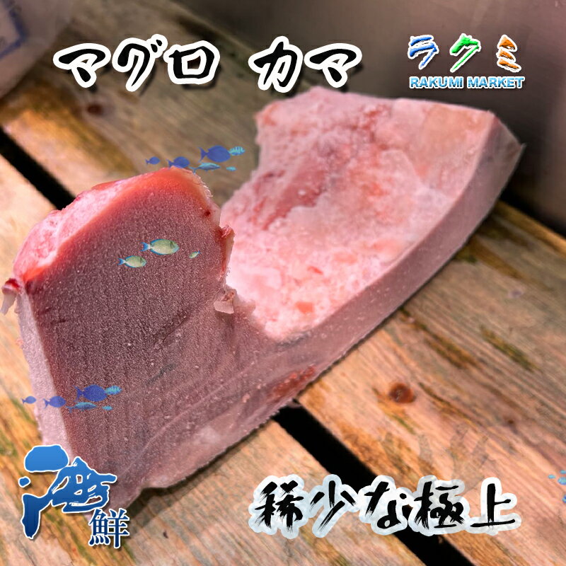 極上絶品 カマトロ マグロ カマ 1本 約500g 塩焼き ねぎま 鍋　2本