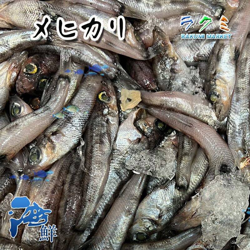 メヒカリ 約1kg（1尾約20〜30g) めひかり 刺身 唐揚げ 天ぷら 南蛮漬け 塩焼き 煮る