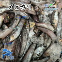 商品詳細 名称 メヒカリ 内容量 3kg 保存方法 冷蔵 産地名 静岡県、愛知県など 商品詳細 フライなど揚げ物にすると、身がホクホクして非常に美味しいです。 唐揚げ 唐揚げにして、これを名物としているが、本種の定番料理ともいえそう。骨が柔らかいために丸ごと食べられるのがいい。天ぷらにしても非常にうまい。 ぜひこの機会にお試し頂きたいオススメ商品です。 配送方法 ヤマト運輸のクール便※こちらの商品は冷蔵便での発送となります。 冷凍商品と同梱出来ませんので、ご了承お願い致します。 賞味期限 冷蔵保存で2日以内にお召し上がりください。 備　考 ※写真はイメージです。計量致しますので、実際の商品の見た目とは多少異なる場合が御座います。 ※日時指定の場合、天候（時化などによる入荷の遅れ）・配送上の都合により指定された通りにお届けできない場合がありますので、基本は日付指定はお受けできません。ご理解下さい。 上記をご了承頂ける方のみ日付指定をお受け致します。その場合、指定は10日以内でお願い致します。 ※日付指定優先の場合、入荷状況により予告なくメーカーが変更になる場合が御座います。 その場合発送時、メールでご連絡させて頂きます。