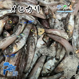 業務用 メヒカリ 約3kg（1尾約20〜30g) めひかり 刺身 唐揚げ 天ぷら 南蛮漬け 塩焼き 煮る