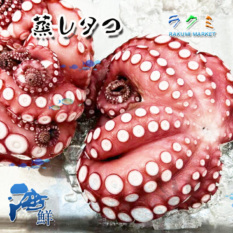 業務用 岩手県産 蒸しダコ 3個(1個約1kg) たこ お刺身 バター焼き 寿司ネタ ピラフ タコ焼き 唐揚