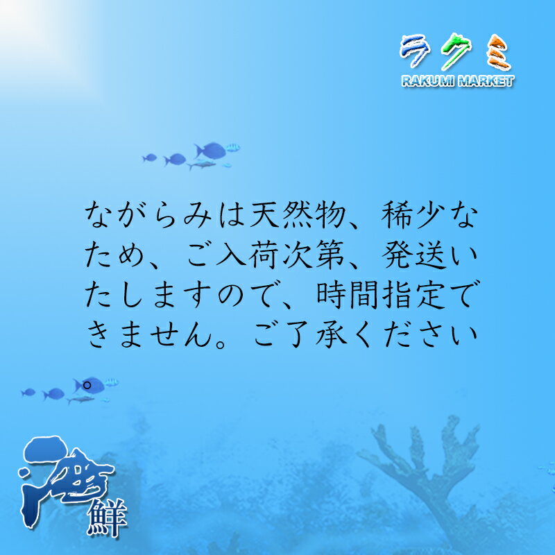 ��̳�� ���� ŷ�� ���ո� �彽��Τ�� �� ���ʤ���� 10kg ���ˤ� �С��٥��塼 ����