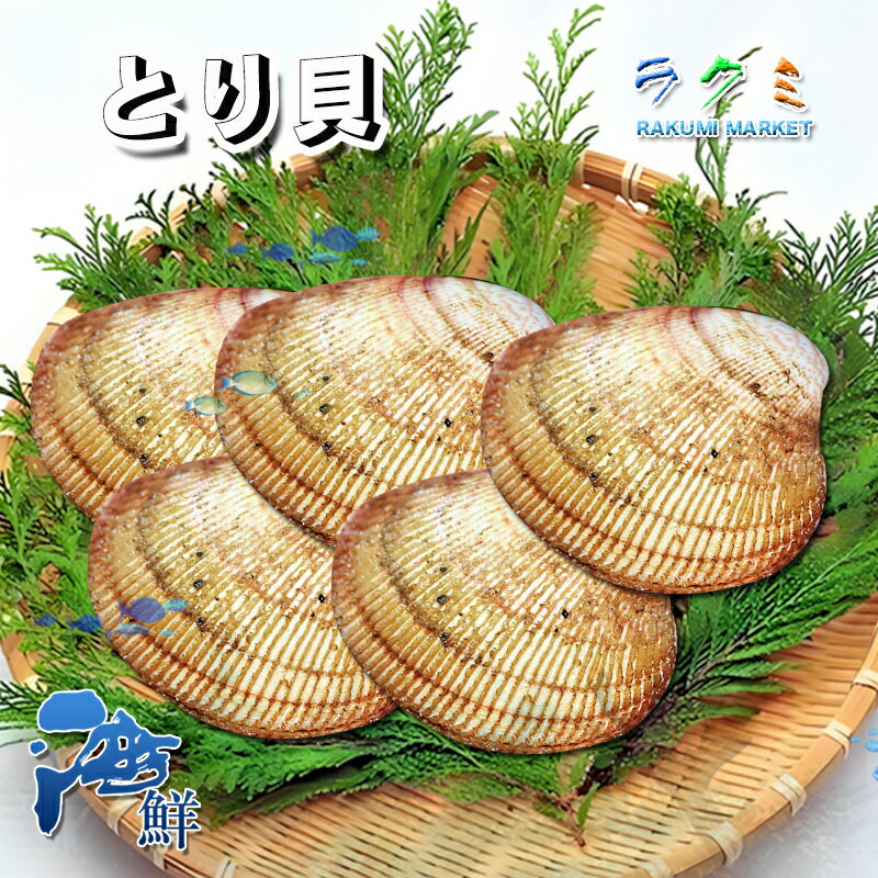 トリガイ 鳥貝 とり貝 愛知県 塩ゆで 炊き込みご飯 刺身 きゅうりもみ 貝類 1kg