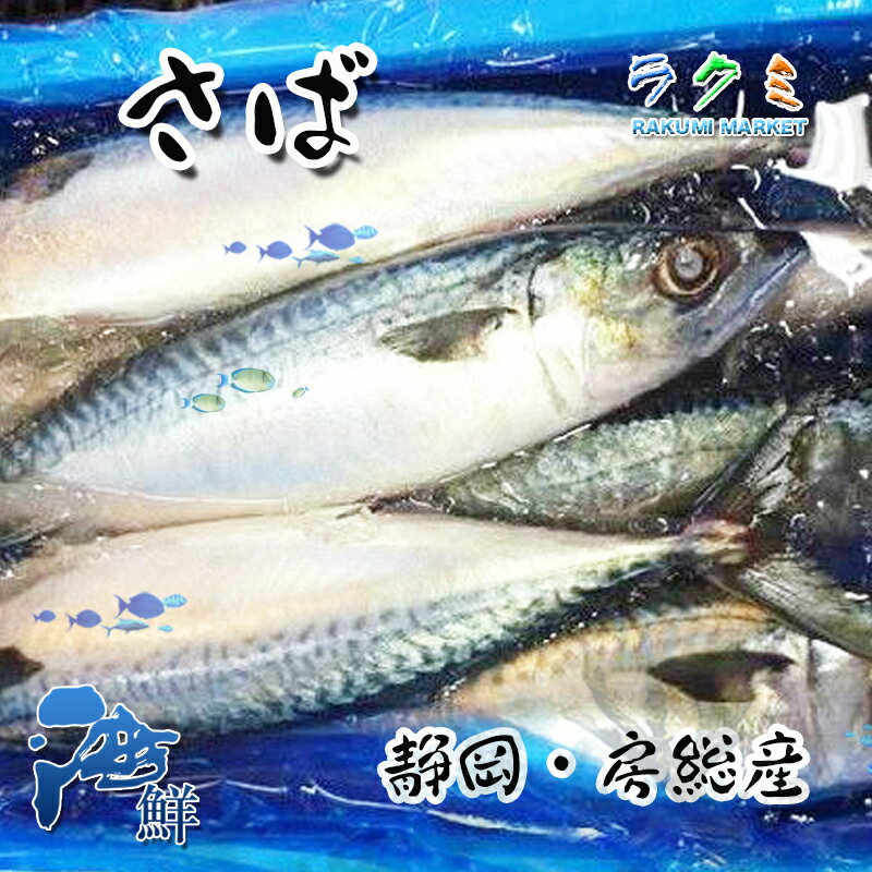業務用 静岡・房総産 ゴマサバ 5kg(約7-9尾入)鯖 さば 塩焼き 煮もの 唐揚げ 刺身