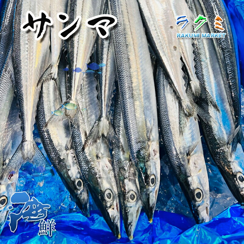 冷凍 秋刀魚 10尾（1尾約140~180g) 北海道 さんま サンマ 甘露煮 竜田揚げ 釜飯 塩焼き 酢漬け