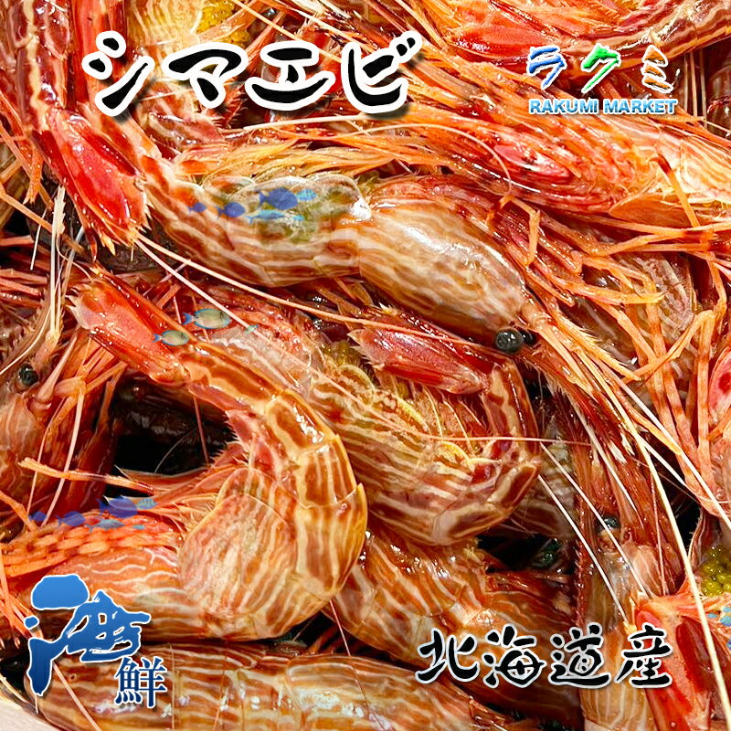 シマエビ 約3kg しまえび モロトゲアカエビ 刺身 寿司ネタ 塩焼 お味噌汁 煮付け パスタ