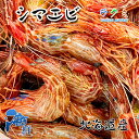 シマエビ 約300g しまえび モロトゲアカエビ 刺身 寿司ネタ 塩焼 お味噌汁 煮付け パスタ(4)