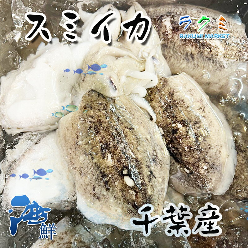 千葉産 すみイカ 500g スミイカ 中華炒 天ぷら 塩焼き 野菜との煮もの