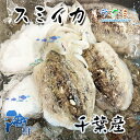 千葉産 すみイカ 500g スミイカ 中華炒 天ぷら 塩焼き 野菜との煮もの(4)