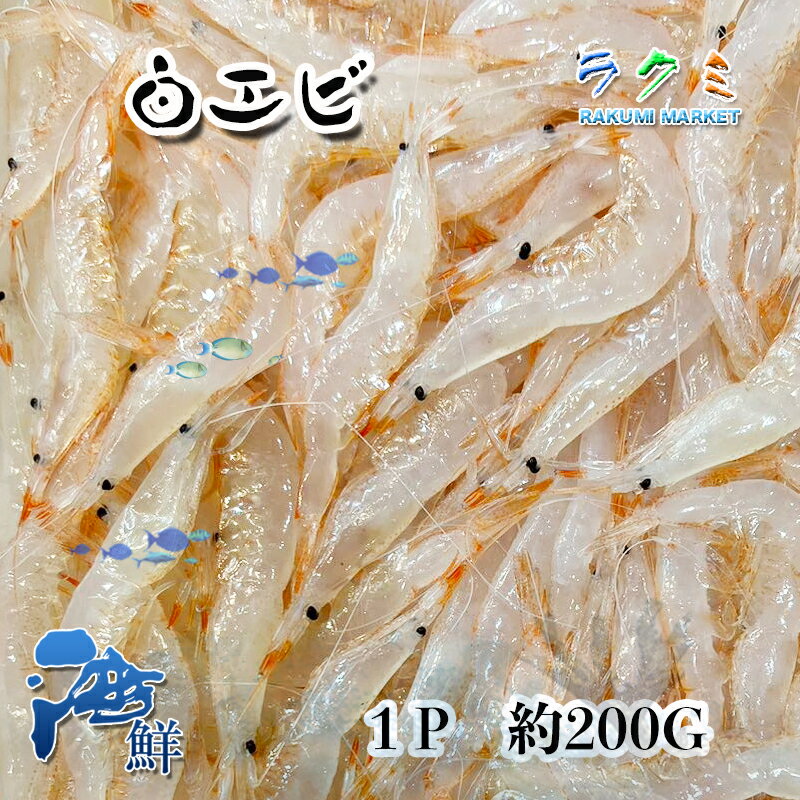 冷凍白エビ 1p 500g しろえび 富山県 宝石エビ かき揚げ 釜揚げ 素干し 中華炒め