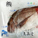 デカ真鯛 1尾 約1.8~2kg タイ たい タンパク質が多く クレアチンが豊富 刺身 塩焼き 唐揚げ 酒蒸し(4)