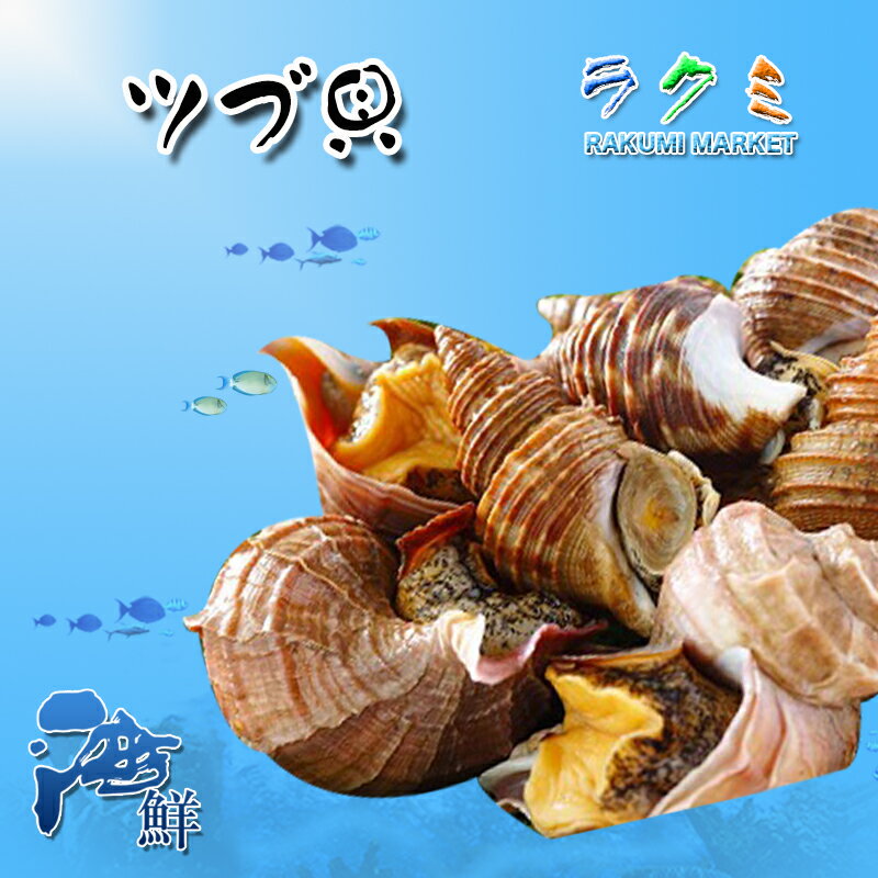 活 ツブ貝 殻付き 約500g つぶ貝 粒貝 北海道 貝 酒蒸し 炒め物 贈り物 お祝い