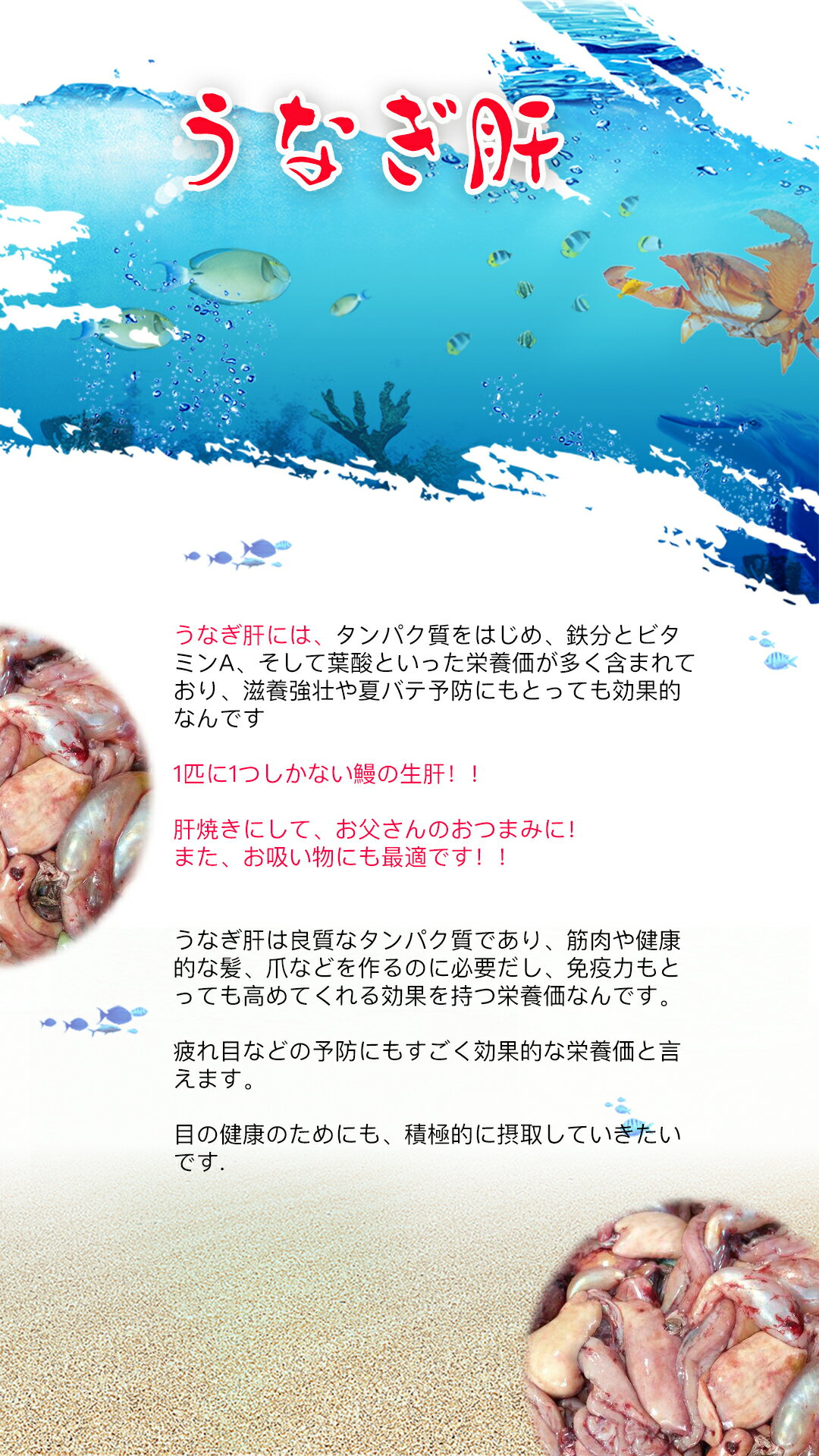 うなぎ 鰻 生肝 約1kg ウナギキモ 稀少品 肝焼き うなぎきも 抵抗力を強め 栄養価が多く