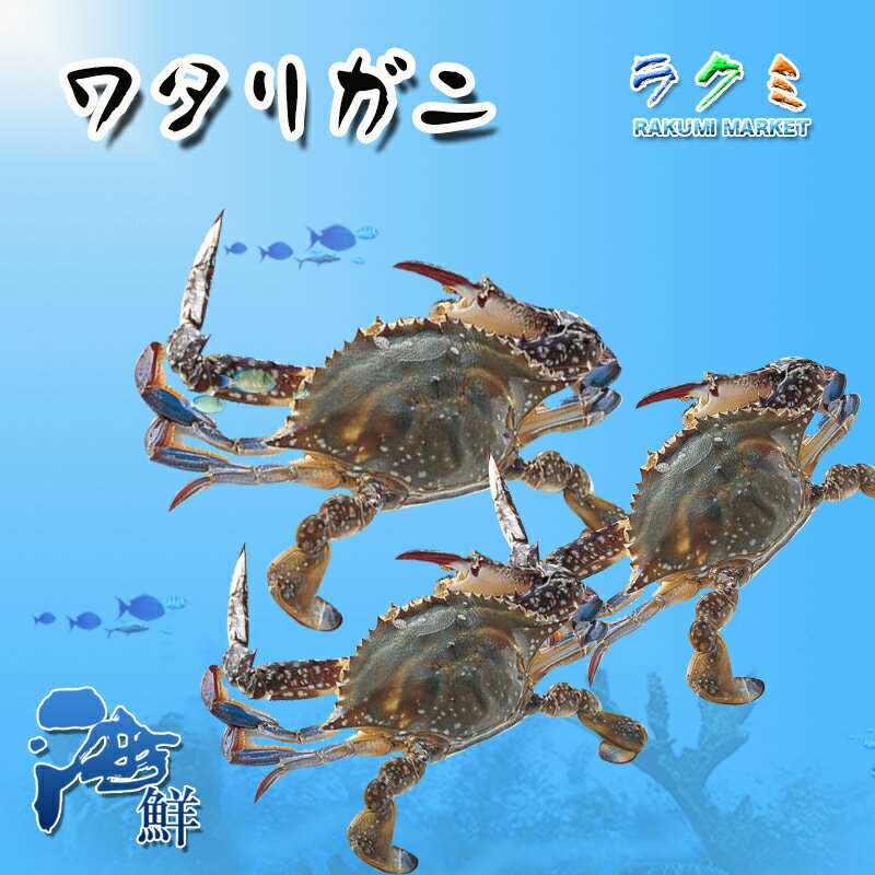 ワタリガニ 5kg (1尾約300~400g) わたりがに 渡り蟹 ゆでガニ 焼きガニ 蒸しガニ 汁(みそ汁) 炊き込みご飯