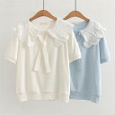 綿 Tシャツ レースカラー ネクタイ レディース 新作 ラウンドネック リボン 半袖 無地 tシャツ ブラウス トップス レース プルオーバー 春 夏 ゆったり 可愛い 着痩せ ガーリー 通勤 通学 20代 30代 40代 50代 清楚 OL オフィス 大人 オシャレ 切り替え 快適 送料無料