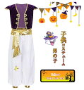 ハロウィン 衣装 子供 王子様 男の子 コスプレ 2点セット トップス セットアップ パンツ 薄手 シャツ パンツ 前開き インナー必要 仮装 コスチュームぐる...