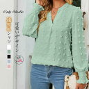 シャツ ブラウス Tシャツ トップス シフォン レディース シャツブラウス 長袖 プルオーバー 切り替え ドット 水玉 無地 Vネック バルーン袖 春 秋 ゆっ...