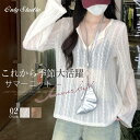 サマーニット Tシャツ レディース トップス 透かし編み プルオーバー 薄手 オーバー メッシュ Vネック 長袖 透け感 ゆったり ティーシャツ レイヤード シアー チュニック 体型カバー カジュアル きれいめ 大人 大きいサイズ お洒落 スカラップ 涼しい 春 夏 送料無料