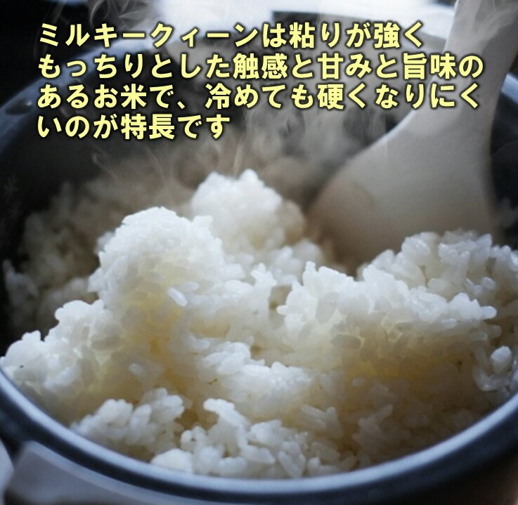 無洗米 10kg (2.5kg×4袋) 特別栽培米 鹿児島 ミルキークィーン 令和3年産 送料無料 非常食 保存食 備蓄米 災害用食糧 災害用保存食 災害用グッズ 米 こめ コメ 長期保存 長期備蓄 長期保管 チャック 防災 酸素検知付 脱酸素剤 無酸素パック ローリングストック 日常備蓄