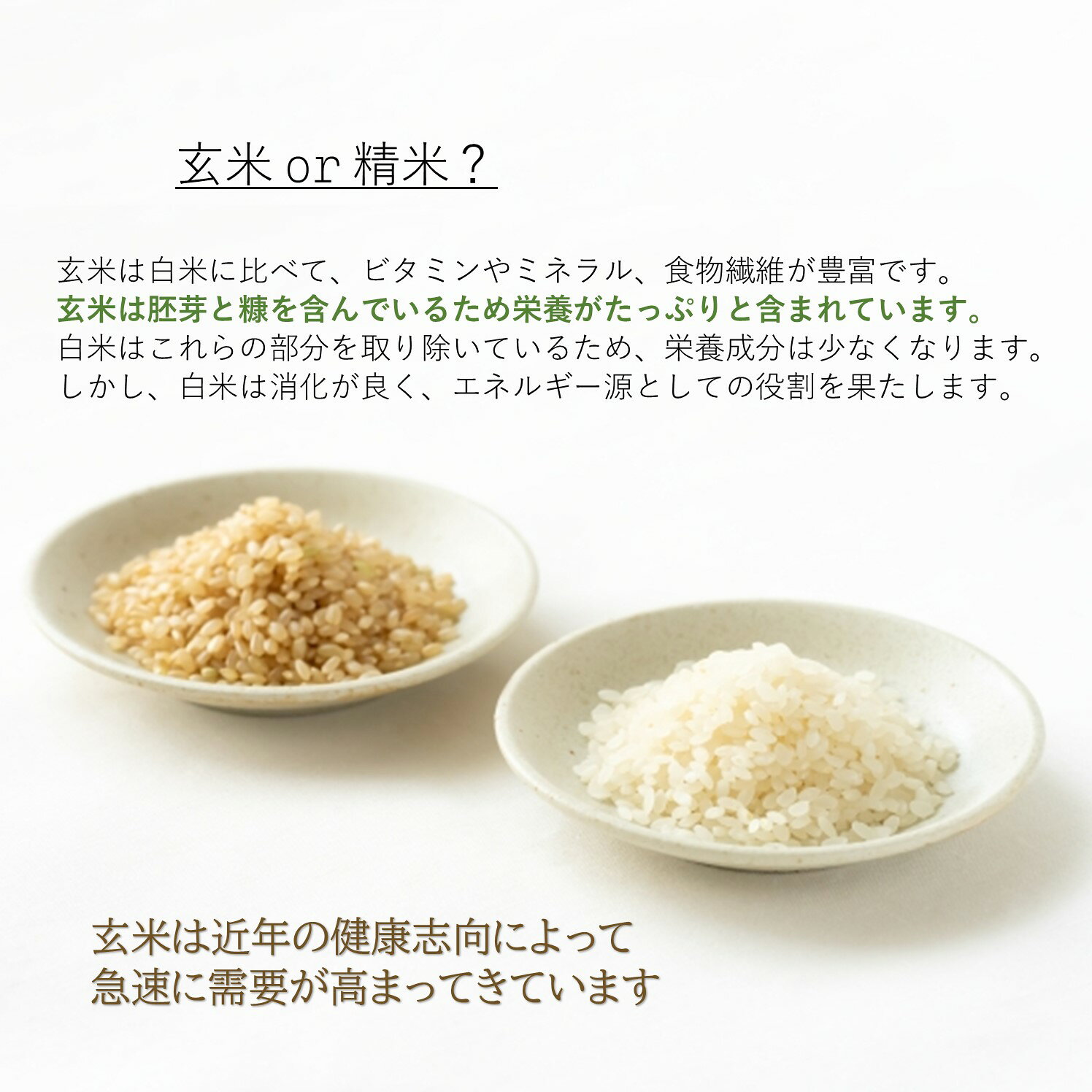 【玄米・白米・無洗米】 九州産 生活応援米 10kg(5kg×2袋) 20kg(5kg×4袋) 玄米 白...