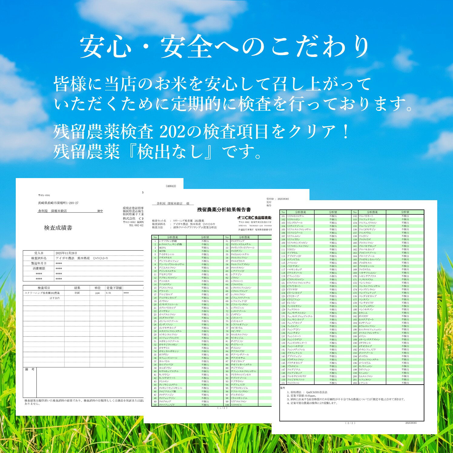 【玄米・白米・無洗米】 九州産 生活応援米 10kg(5kg×2袋) 20kg(5kg×4袋) 玄米 白...
