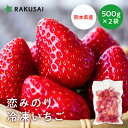 冷凍いちご 500g×2袋 1kg 1000g 国産 いちご 冷凍 苺 itigo イチゴ 夏いちご 苺 恋みのり スムージー フルーツ 冷凍果物 果物 くだもの デザート お試し 非常食 プレゼント ギフト セット 健康 無添加 大容量 熊本 フルーツ 苺アイス ビタミンC 公式