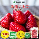 S【衝撃の500円OFFで2,480円】冷凍いちご 500g 1kg 2kg 国産 いちご 冷凍 苺 itigo イチゴ 夏いちご 苺 恋みのり スムージー フルーツ 冷凍果物 果物 くだもの デザート お試し 非常食 プレゼント ギフト セット 健康 無添加 大容量 熊本 フルーツ 苺アイス ビタミンC 公式