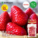 【エントリーでP10倍!】\ 楽天1位! / 国産 冷凍いちご 500g 1kg 2kg いちご 冷凍 苺 itigo イチゴ 夏いちご 苺 恋みのり スムージー フルーツ 冷凍果物 果物 くだもの デザート お試し 非常食 プレゼント ギフト セット 健康 業務用 フルーツ 苺アイス ビタミンC