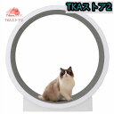 キャットホイール 猫の車輪 猫の回し車 猫のトレッドミルの車輪 猫のエクササイズホイール 猫ローラー ペット用トレッドミル 歩く猫フィットネス 猫のおもちゃ
