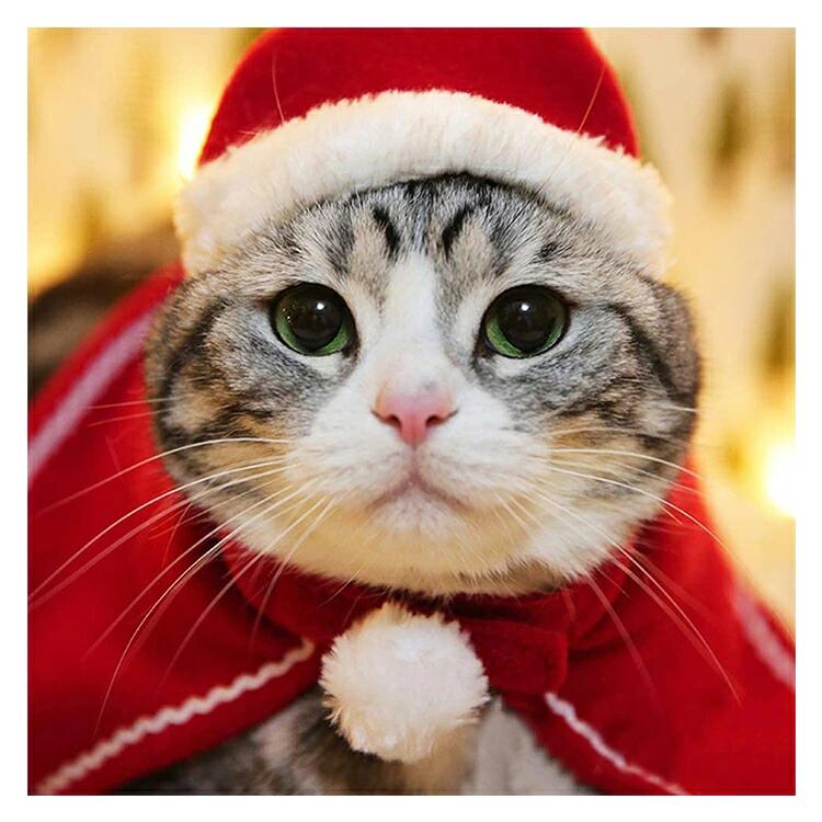 クリスマス 衣装 犬 猫 服 ペット服 サンタ...の紹介画像3