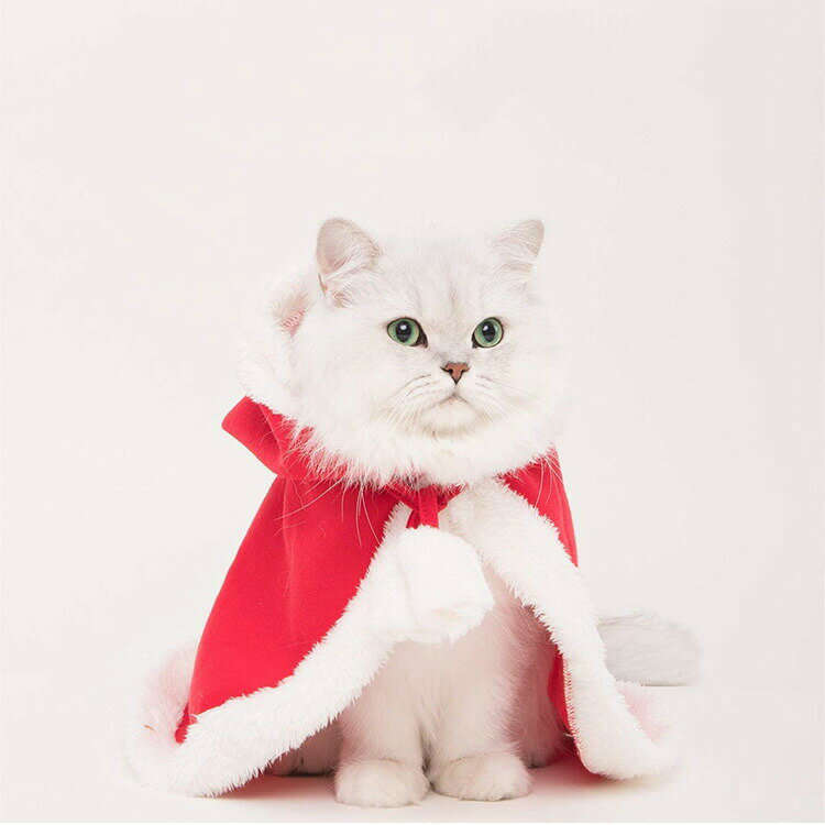 猫 犬 クリスマス ケープ 犬用 猫用 コスプレ 衣装 サンタ マント サンタローブ 仮装 コスチューム サンタクロース 着ぐるみ ペット服 猫服 犬服 ドッグウェア キャットウェア ねこ 可愛い かわいい おしゃれ 仔猫 小型犬 中型犬 散歩 パーティー