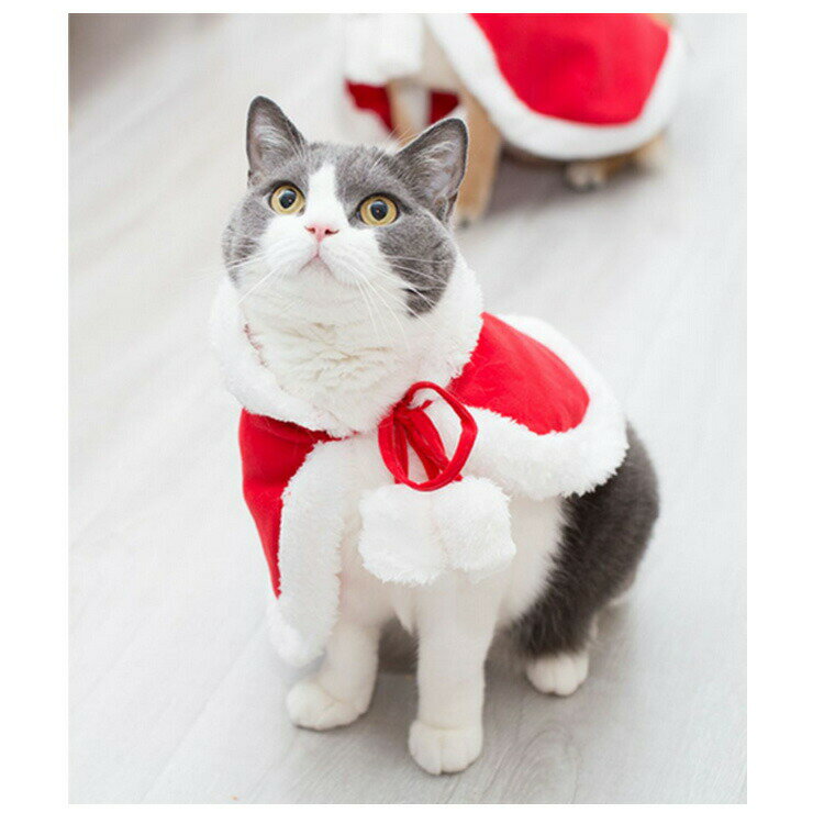 猫 犬 クリスマス ケープ 犬用 猫用 コスプレ 衣装 サンタ マント サンタローブ 仮装 コスチューム サンタクロース 着ぐるみ ペット服 猫服 犬服 ドッグウェア キャットウェア ねこ 可愛い かわいい おしゃれ 仔猫 小型犬 中型犬 散歩 パーティー